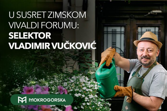 vivaldi biznis forum zimski