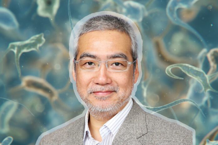 inteligencija nakagaki