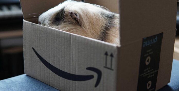 Amazon trgovina kupovina
